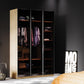 3-door transparent wardrobe, legendary gray youth glass